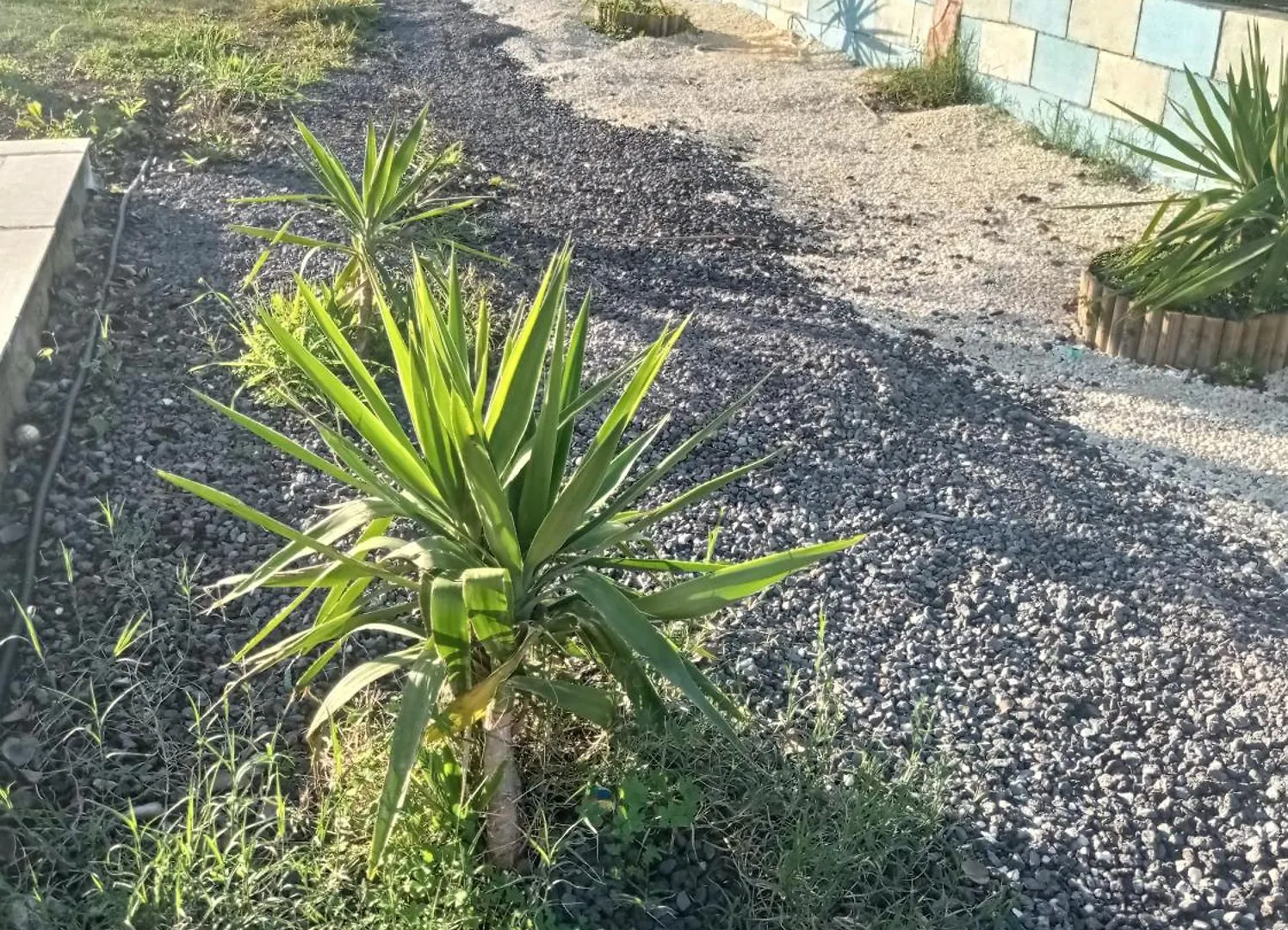 Villa Mirko Vaccarizzo-Delfino Apartament